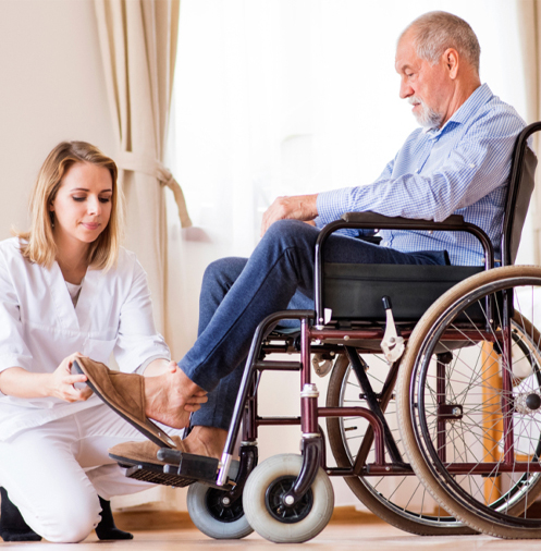 Guided And Specialised Supported Employment